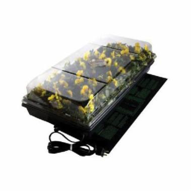 Hydroponic Systems & Planters
