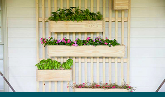 Build a DIY Planter Shelves
