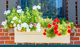 Build a DIY Window Planter Box